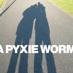 A Pyxie Worm