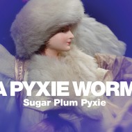 Sugar Plum Pyxie