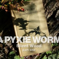 Silent Wood – Part One